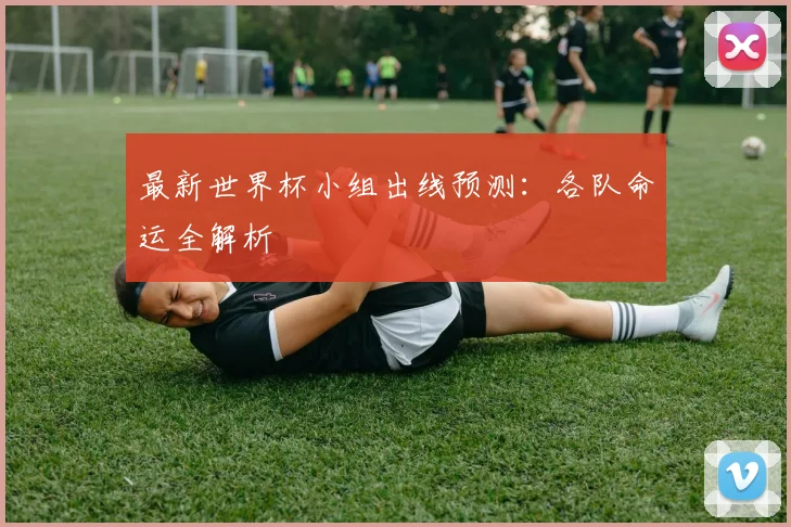 最新世界杯小组出线预测:各队命运全解析